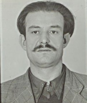 Franjo Ljubičić
