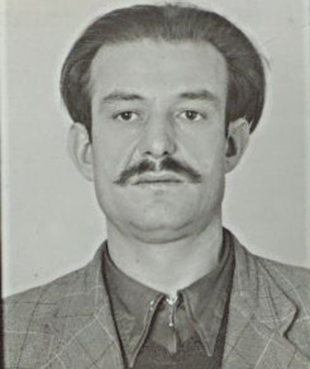 Franjo Ljubičić