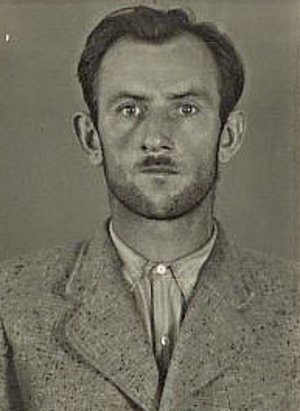 Josef Ševcík