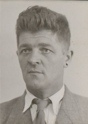 Theodorus Vogelaar