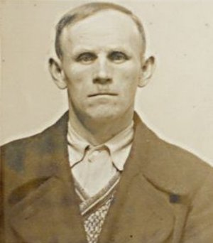 Wilhelm Mikosch