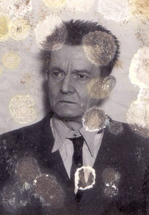 Bohumil Holub