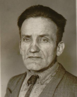 Emil Braun