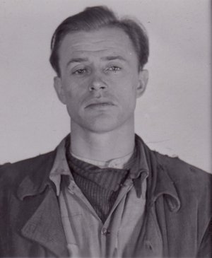 Josef Dienelt