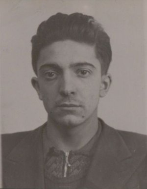 Joseph Musilli