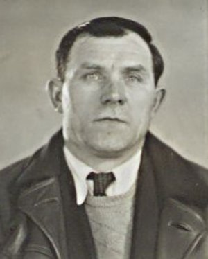 Josef Vodička