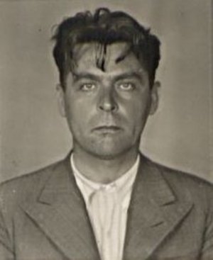 Johann Janoušek