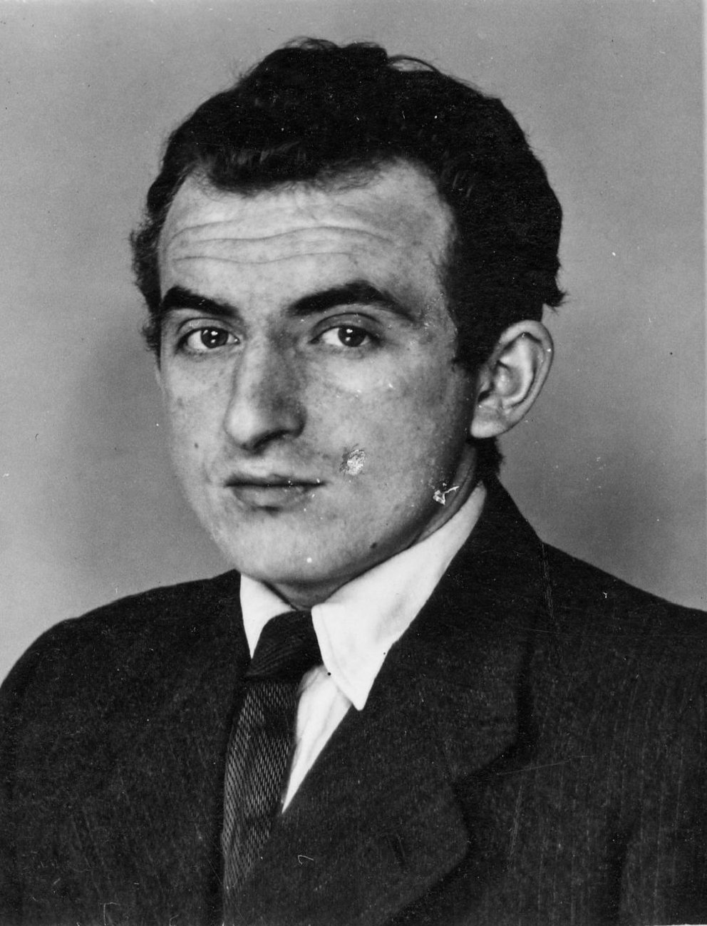 Zdeněk Hájek