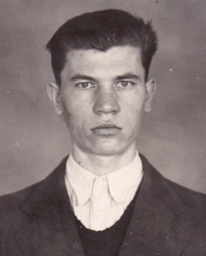 Vladimír Volejník