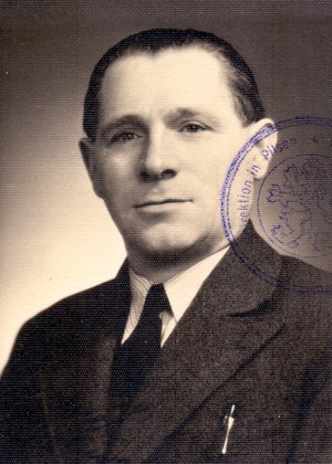Emil Decsy