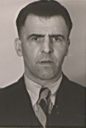 Emil Schulz