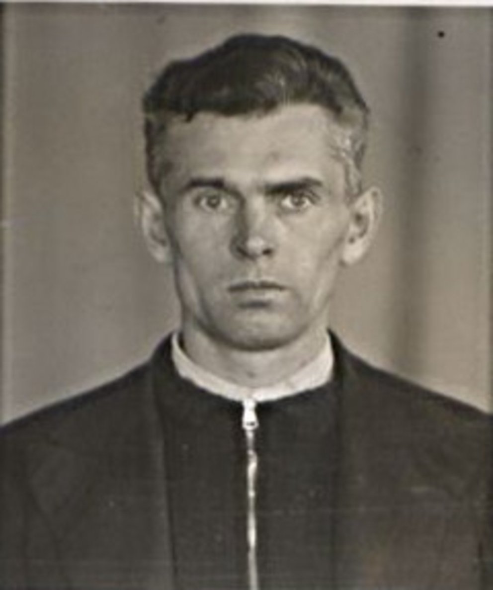 Josef Havránek