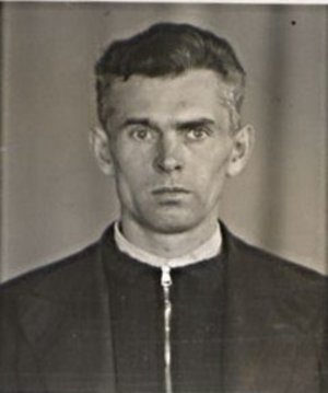Josef Havránek