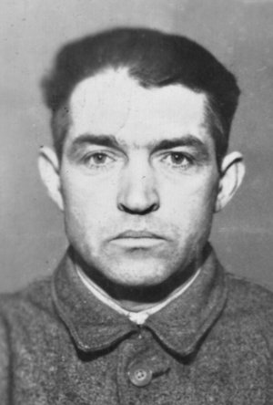 Vladimír Taibl