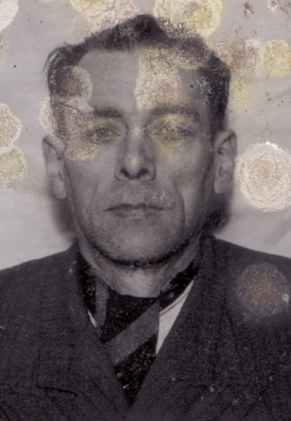 Josef Vrba