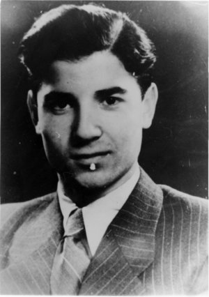 Gerhard Meyer